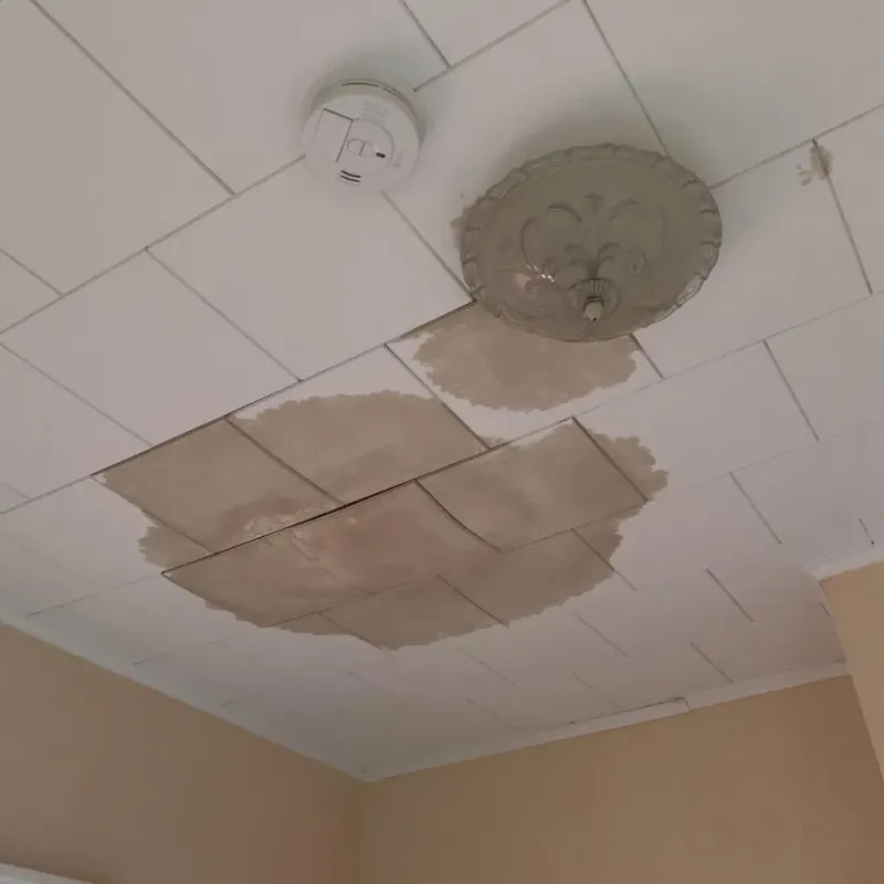 Ceiling Water Damage Repair in Tekamah, NE