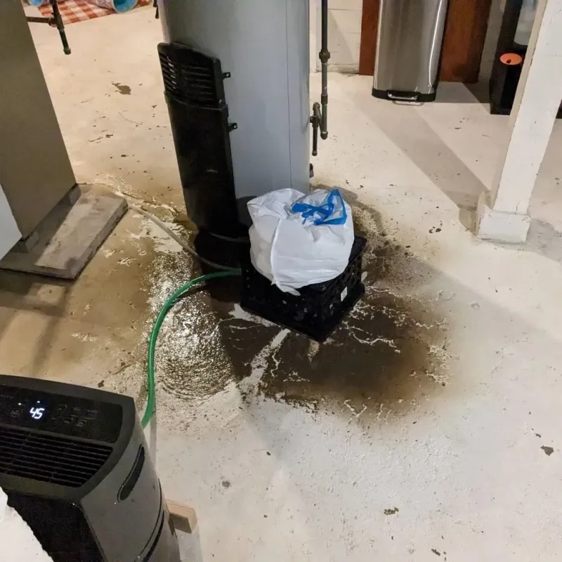 Sewage Backup Cleanup Service in Tekamah, NE